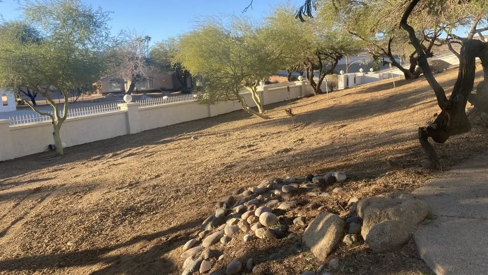 Expert lawn care service in Lake Havasu City, AZ - Buena Vista Landscaping