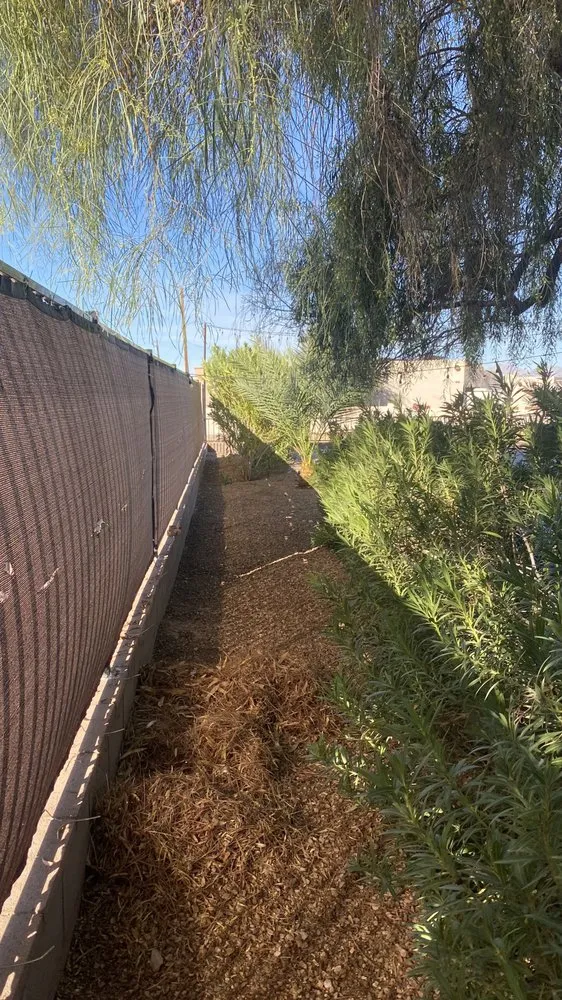 Top-rated outdoor landscaping in Lake Havasu City, AZ by Buena Vista Landscaping