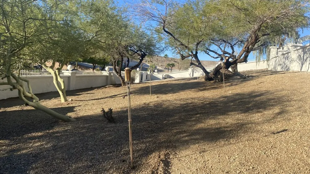 Top-rated yard maintenance experts serving Lake Havasu City, AZ - Buena Vista Landscaping