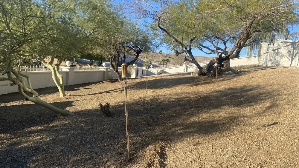 Trusted landscape design experts serving Lake Havasu City, AZ - Buena Vista Landscaping