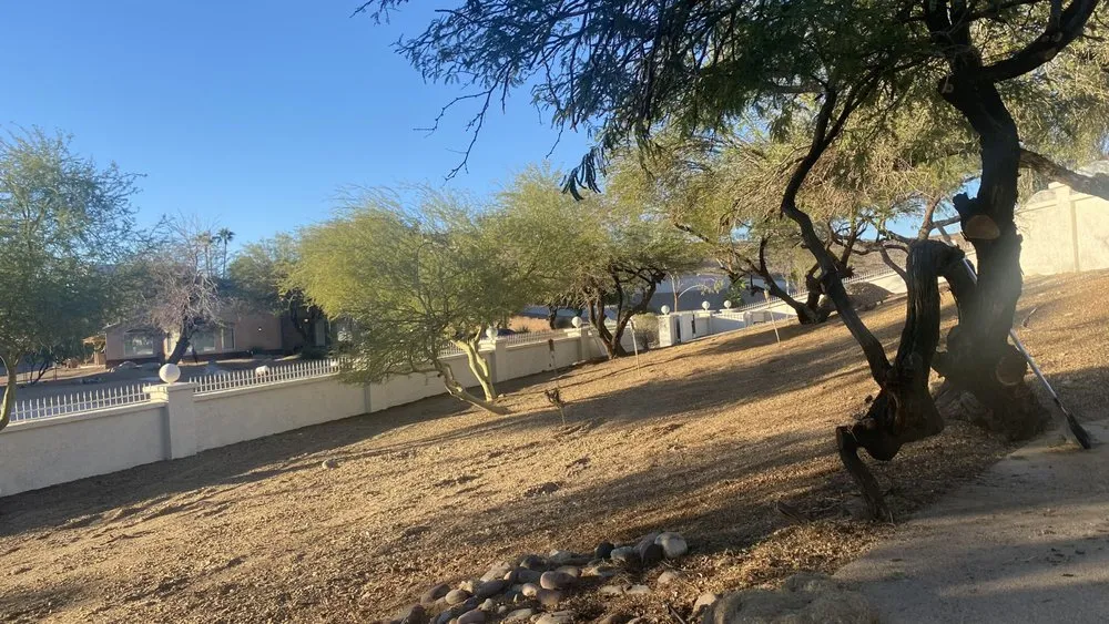 Professional yard maintenance in Lake Havasu City, AZ - Buena Vista Landscaping