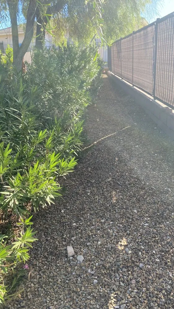 Professional garden landscaping in Lake Havasu City, AZ by Buena Vista Landscaping