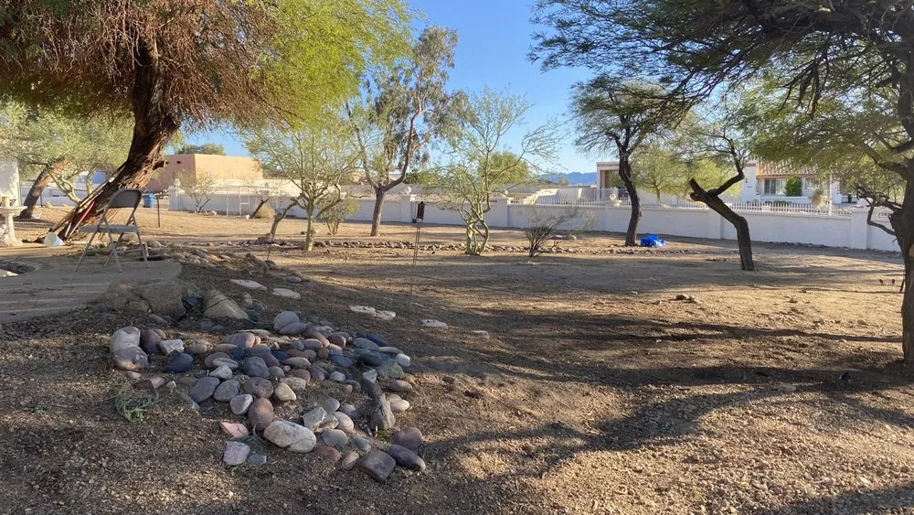 Top-rated landscape design in Lake Havasu City, AZ - Buena Vista Landscaping