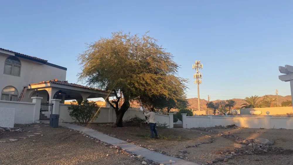 Affordable landscape design in Lake Havasu City, AZ - Buena Vista Landscaping