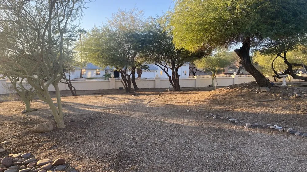 Top-rated garden landscaping for beautiful yards in Lake Havasu City, AZ by Buena Vista Landscaping