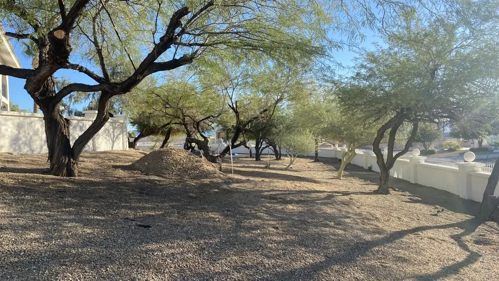 Reliable outdoor landscaping near you across Lake Havasu City, AZ - Buena Vista Landscaping