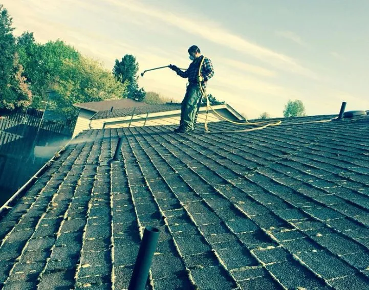 Professional garden landscaping in Salem, OR by Buena Vista Landscaping Maintenance