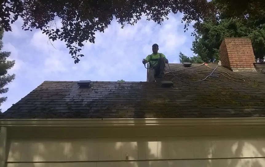 Expert lawn care service with custom design across Salem, OR - Buena Vista Landscaping Maintenance