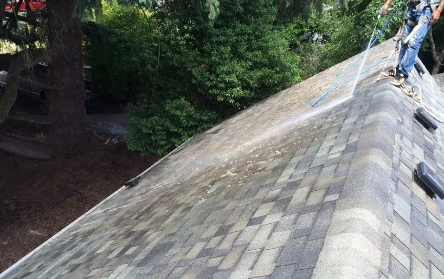 Top-rated landscaping services for year-round maintenance across Salem, OR - Buena Vista Landscaping Maintenance