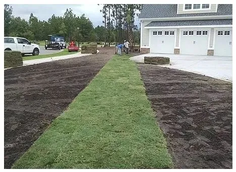 Expert garden landscaping in Wilmington, NC - Buenavista Landscaping