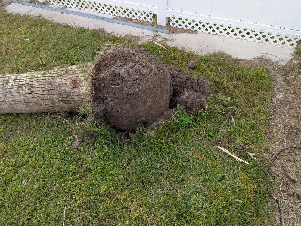 Affordable residential landscaping in Wilmington, NC - Buenavista's Landscaping