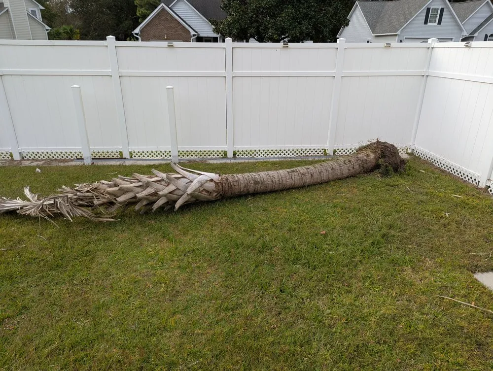 Top-rated landscape installation for homes in Wilmington, NC by Buenavista's Landscaping