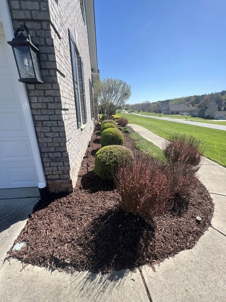 Expert residential landscaping experts serving Charlotte, NC - Buendia Landscape