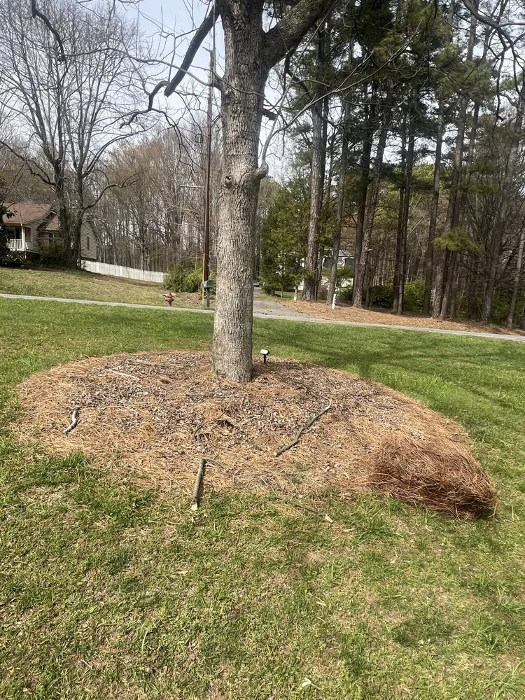 Local landscape design for outdoor upgrades in Charlotte, NC by Buendia Landscape