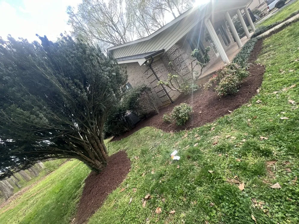 Affordable yard cleanup service near you in Charlotte, NC by Buendia Landscape