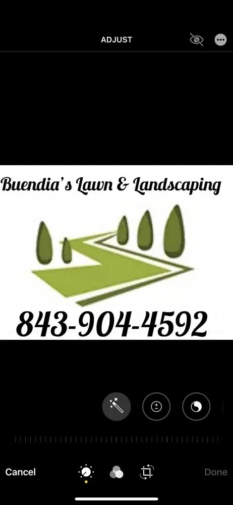 Trusted landscape design experts serving Charlotte, NC - Buendia’s Lawn & Landscaping