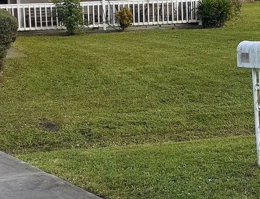 Buendia's Lawn Care Services Logo