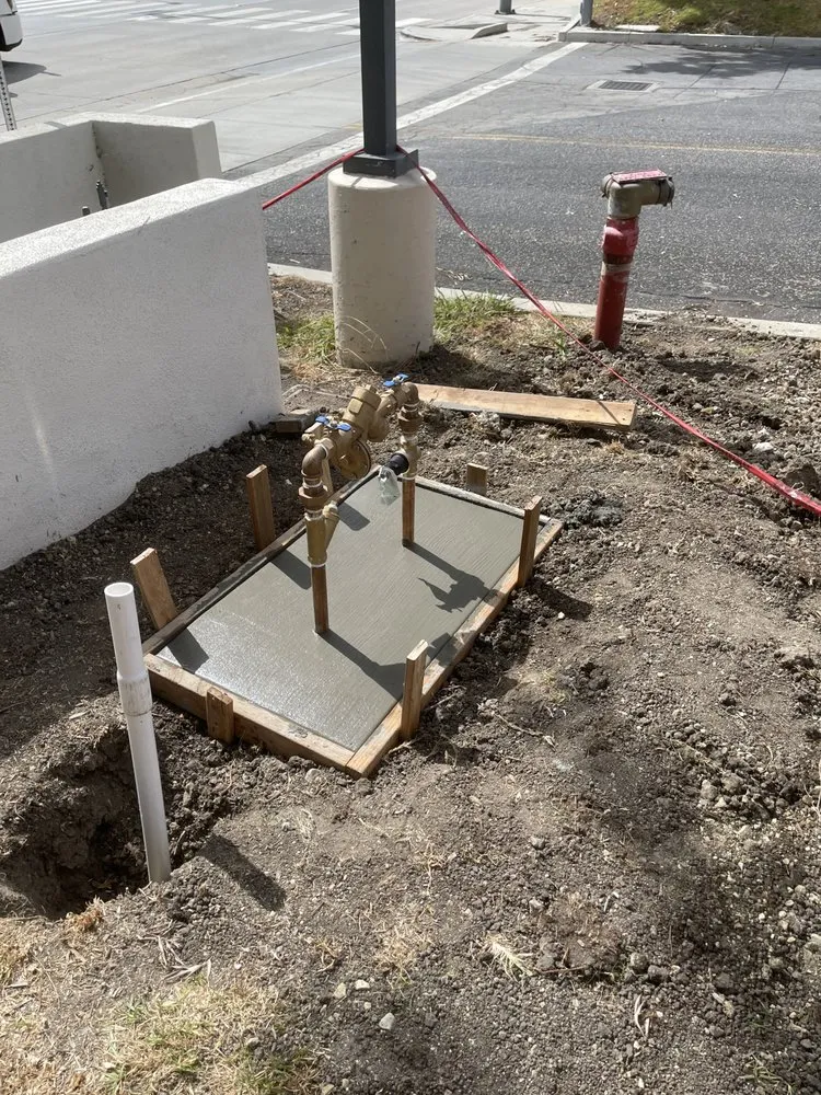 Professional garden landscaping in Georgetown, TX by Bueno Landscape