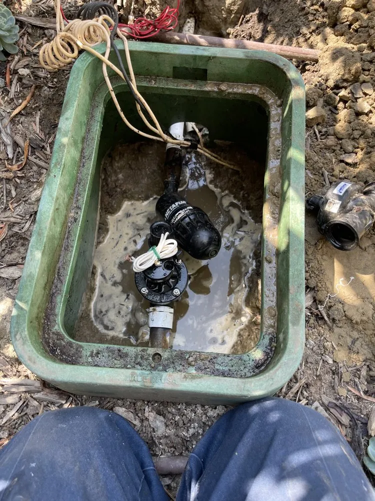 Top-rated yard maintenance for outdoor upgrades in Georgetown, TX by Bueno Landscape