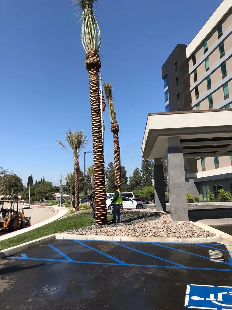 Professional yard maintenance in Georgetown, TX by Bueno Landscape