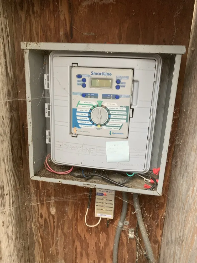 Professional outdoor landscaping with custom design in Georgetown, TX by Bueno Landscape