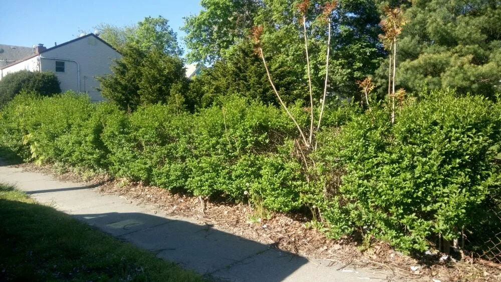 Professional garden landscaping for beautiful yards in Patchogue, NY by Bueno Landscaping