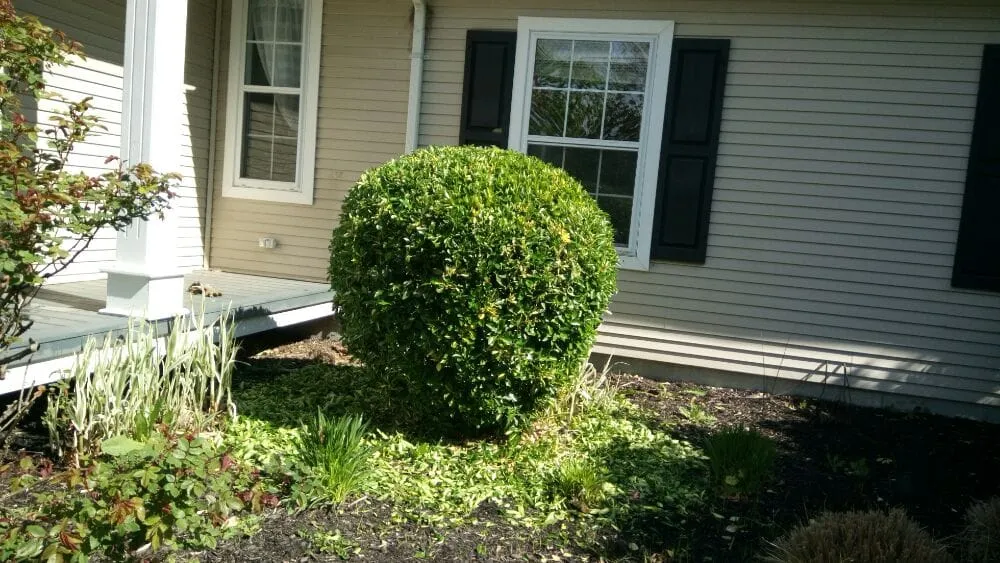 Expert landscape design with custom design in Patchogue, NY by Bueno Landscaping