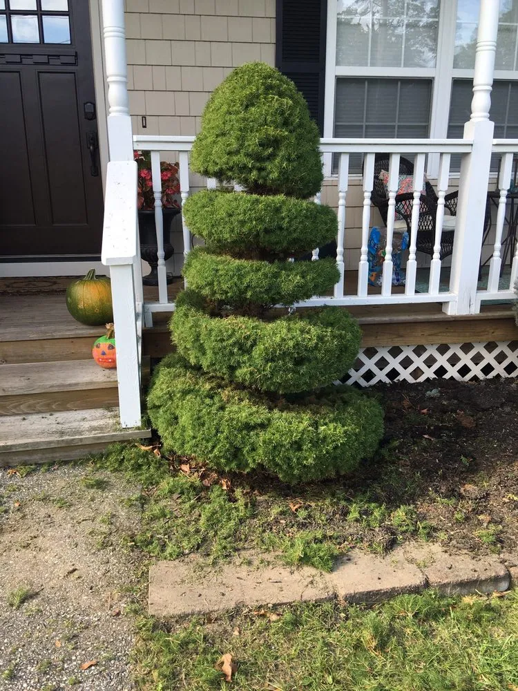 Expert lawn care service in Patchogue, NY by Bueno Landscaping