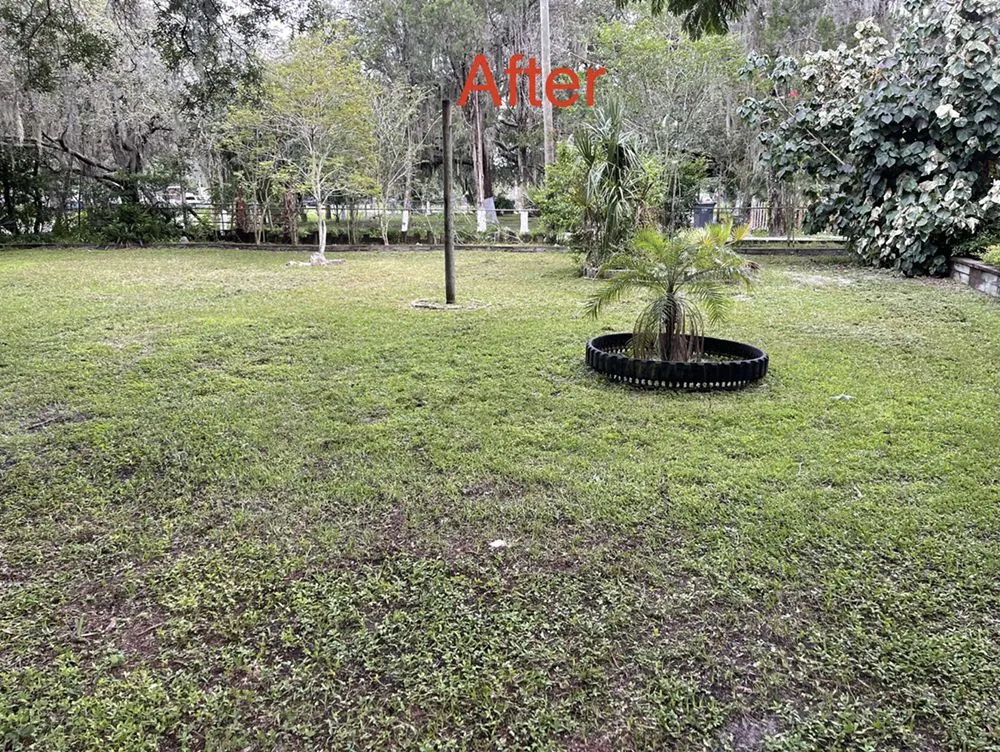 Trusted garden landscaping in Tampa Bay, FL by Bueno’s Lawn Care