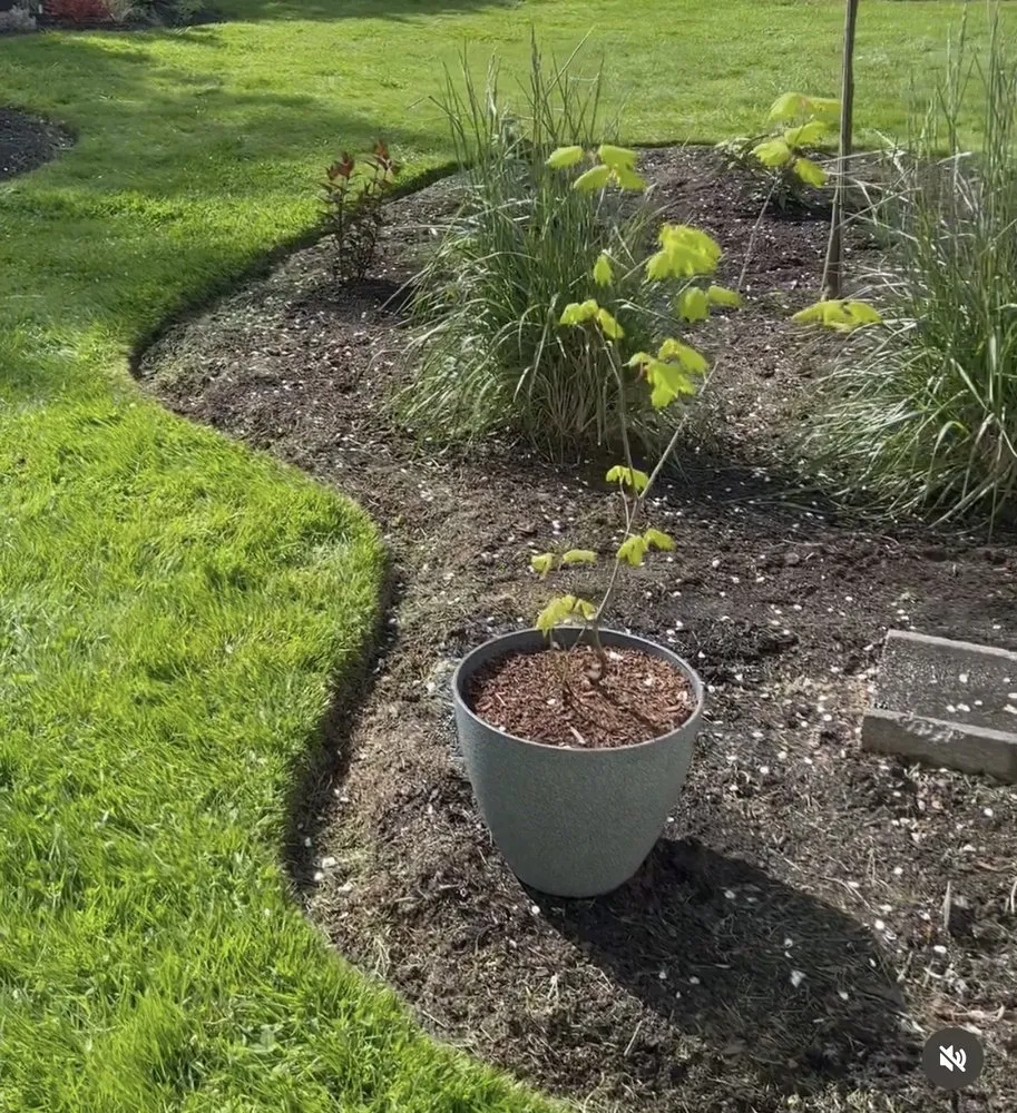 Top-rated garden landscaping for residential properties in Wilmington, NC by Buer Brothers Lawn Care