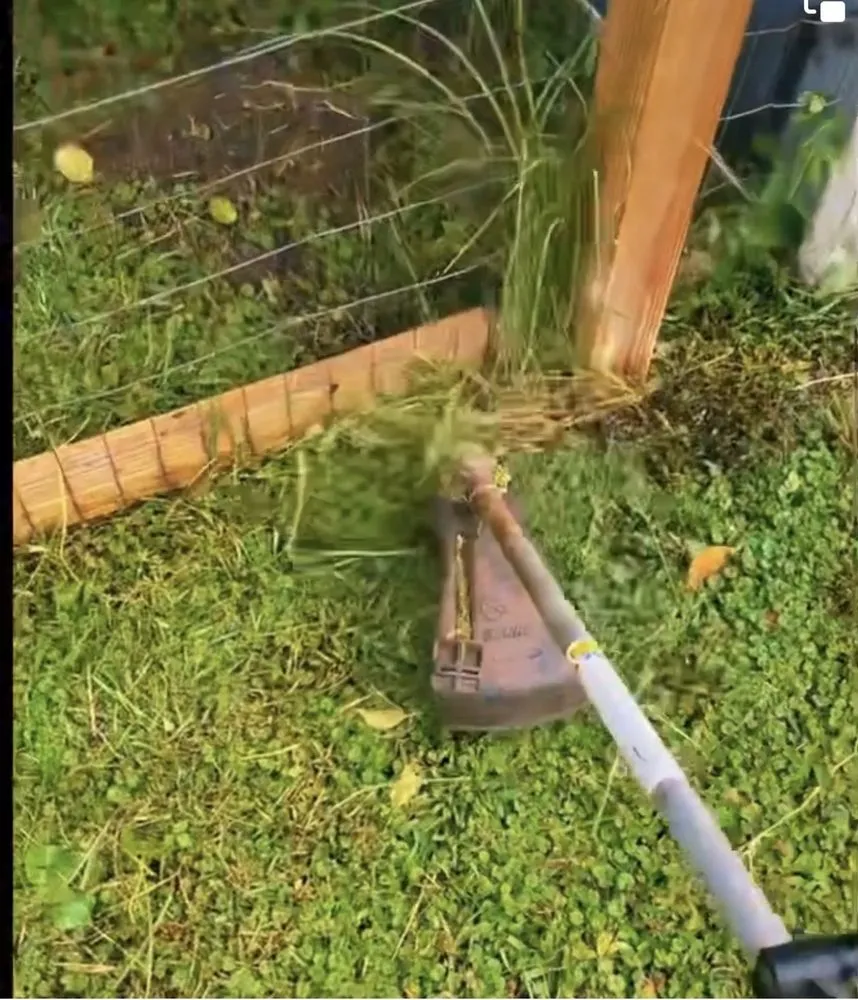 Trusted yard maintenance near you in Wilmington, NC by Buer Brothers Lawn Care