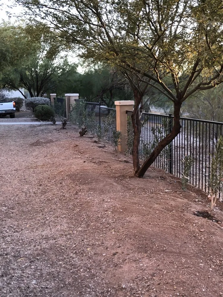 Reliable landscape design in Tucson, AZ - Bueras NS Landscaping