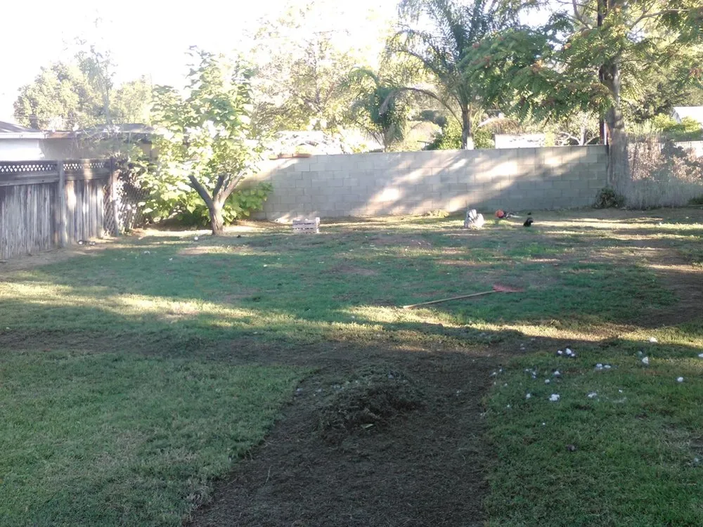 Top-rated outdoor landscaping in Tulsa, OK - Bueso Landscaping & Concrete