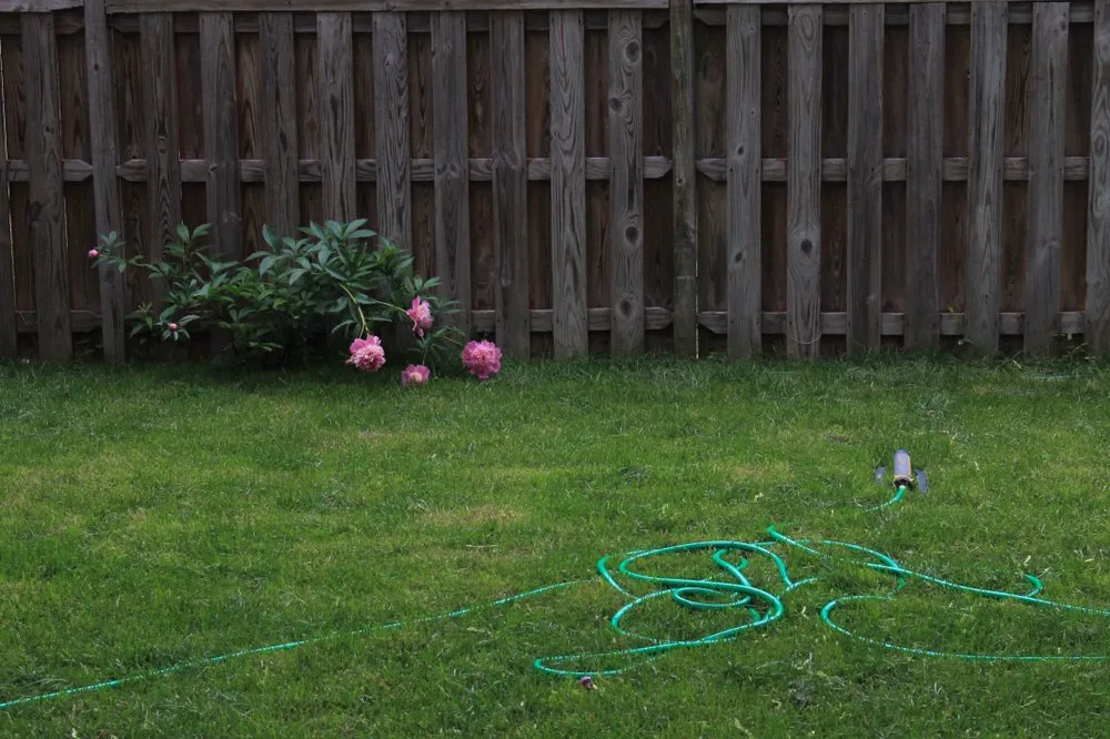 Reliable landscaping services for homes across Buffalo, NY - Buffalo Horticulture