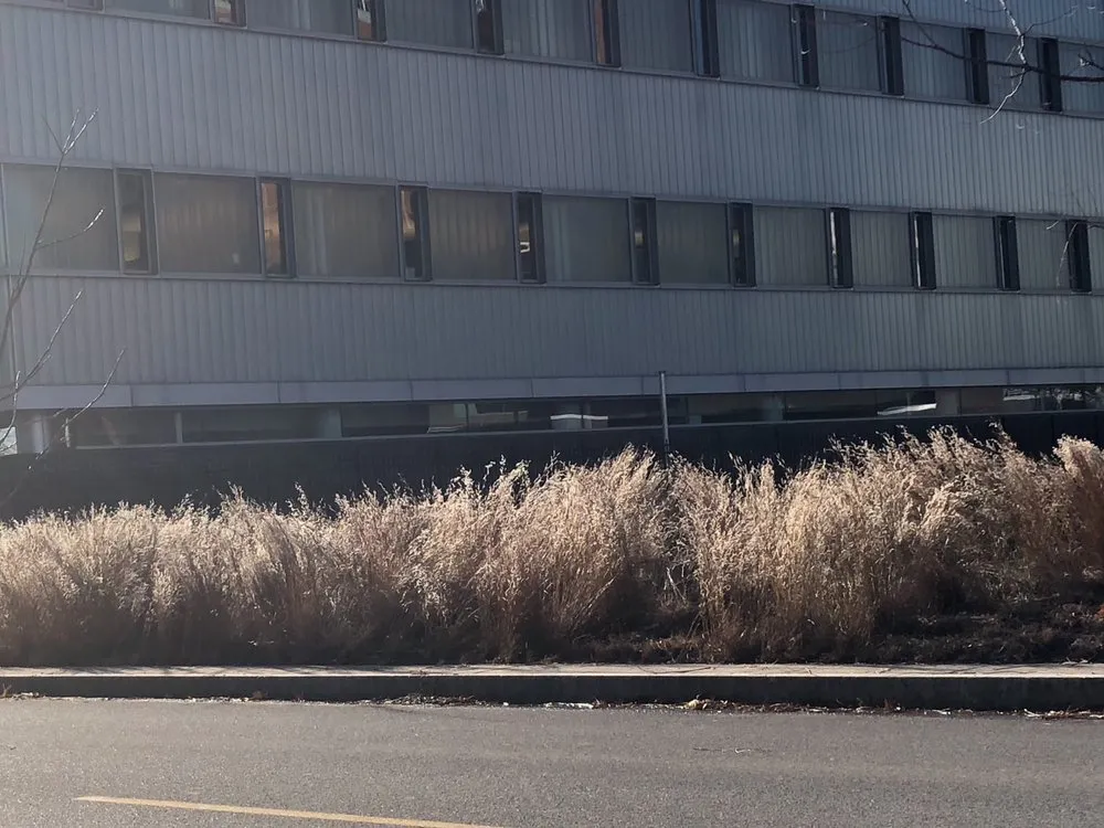 Local lawn mowing service for homes across Buffalo, NY - Buffalo Horticulture