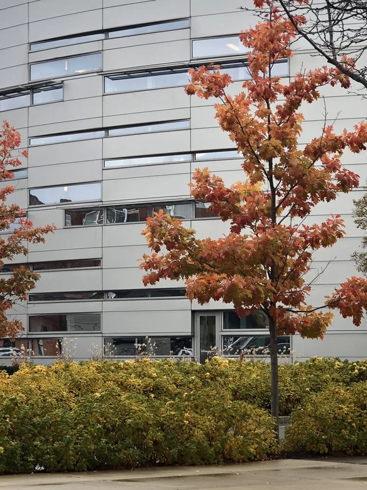 Reliable residential landscaping in Buffalo, NY by Buffalo Horticulture