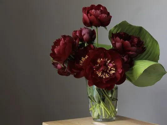 Buffalo Horticulture Logo