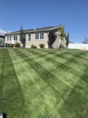 Buffalo Landscape & Design