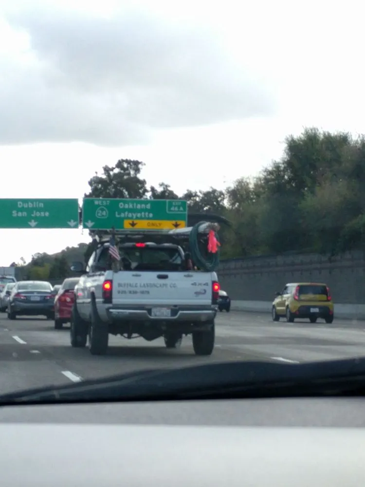 Professional landscaping services for outdoor upgrades across Danville, CA - Buffalo Landscape Company