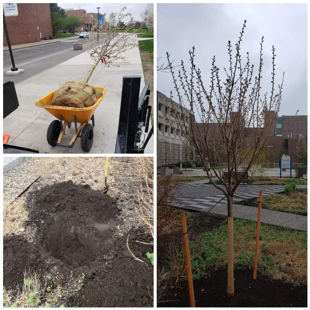 Custom landscaping services experts serving Cheektowaga, NY - Buffalo Landscape Design