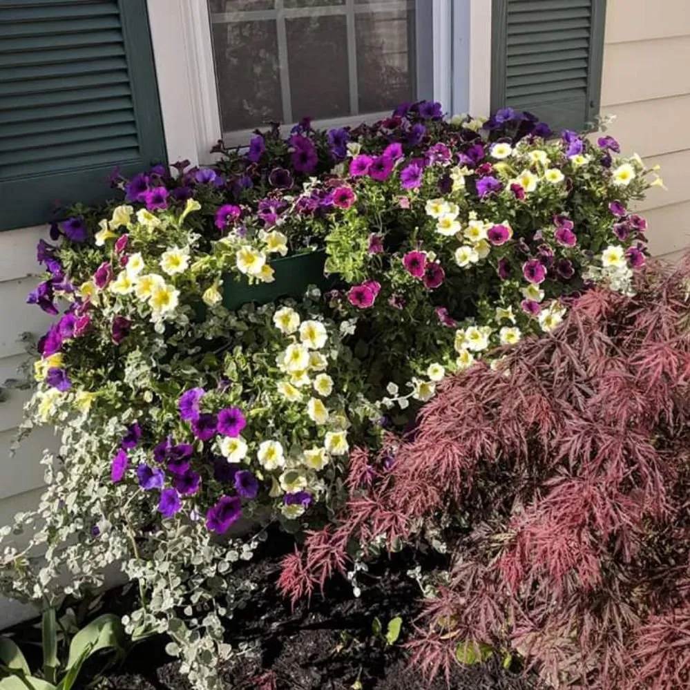 Top-rated landscape installation experts serving Cheektowaga, NY - Buffalo Landscape Design