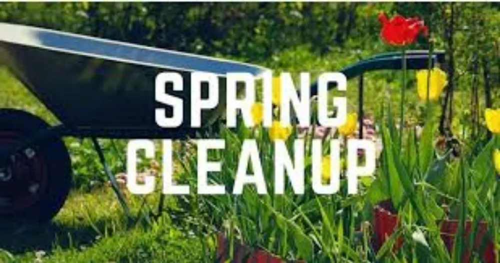 Top-rated lawn mowing service experts serving Cheektowaga, NY - Buffalo Landscape Design