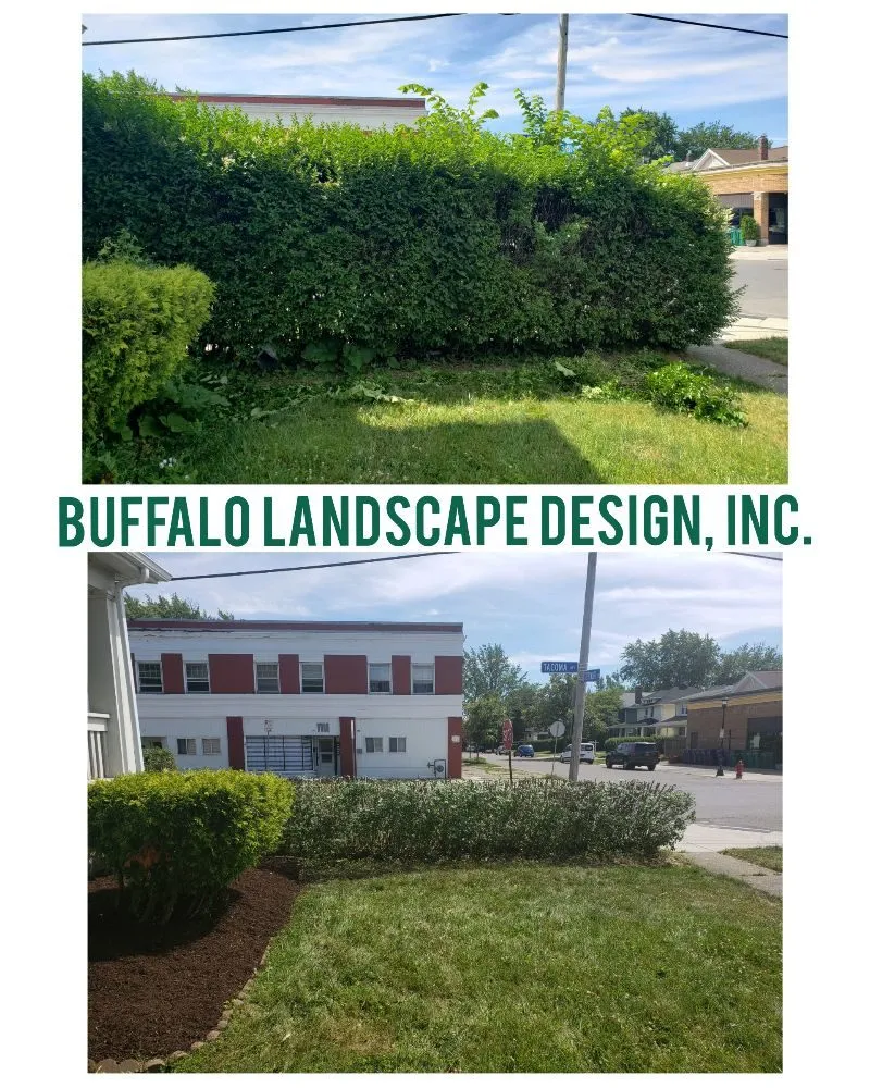Affordable garden landscaping for homes in Cheektowaga, NY by Buffalo Landscape Design