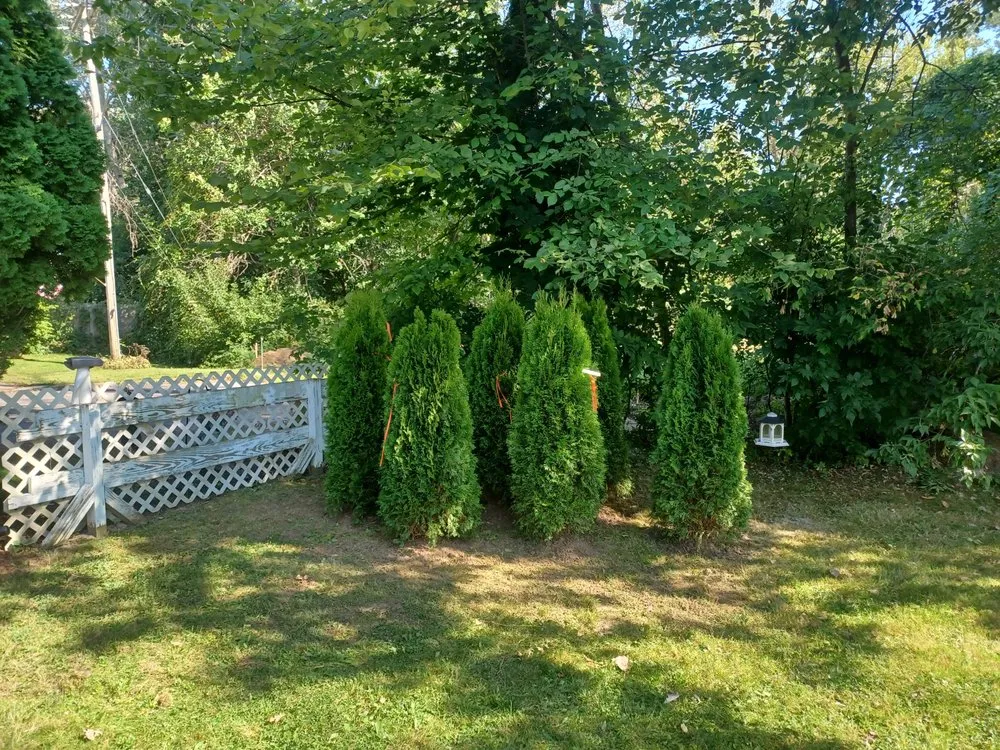 Professional residential landscaping with custom design across Depew, NY - Buffalo Landscape Solutions and Home Services