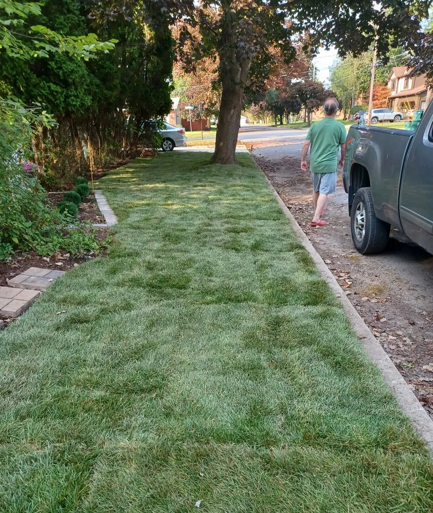 Trusted lawn care service with custom design in Depew, NY by Buffalo Landscape Solutions and Home Services
