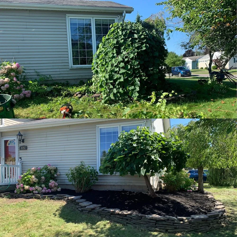 Affordable landscaping services experts serving Tonawanda, NY - Buffalo Landscaping Brothers