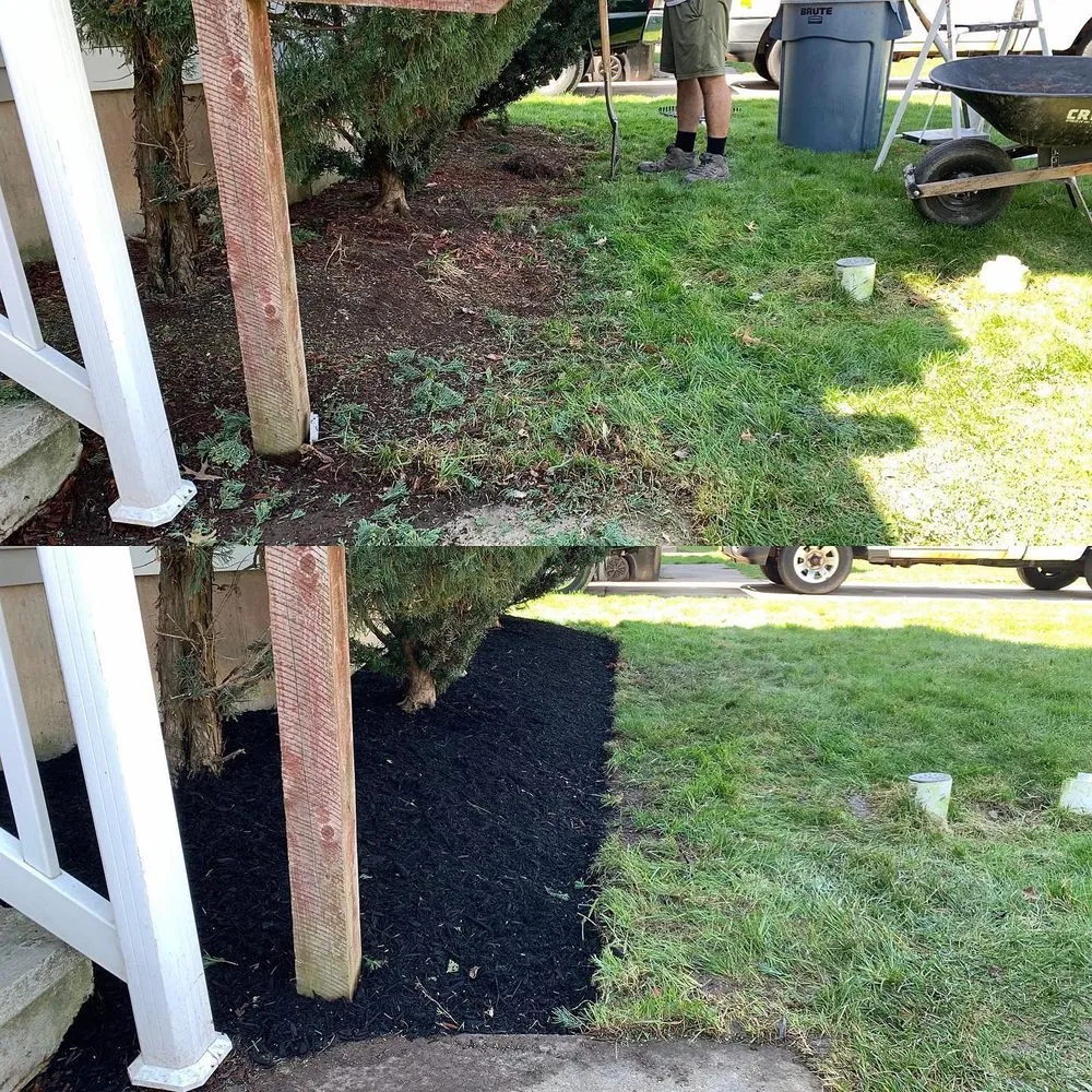 Affordable landscape installation for outdoor upgrades across Tonawanda, NY - Buffalo Landscaping Brothers