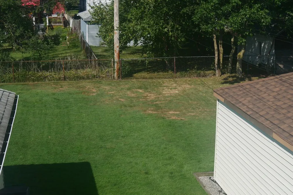 Local landscape installation for homes in Buffalo, NY by Buffalo Lawn & Pest Services