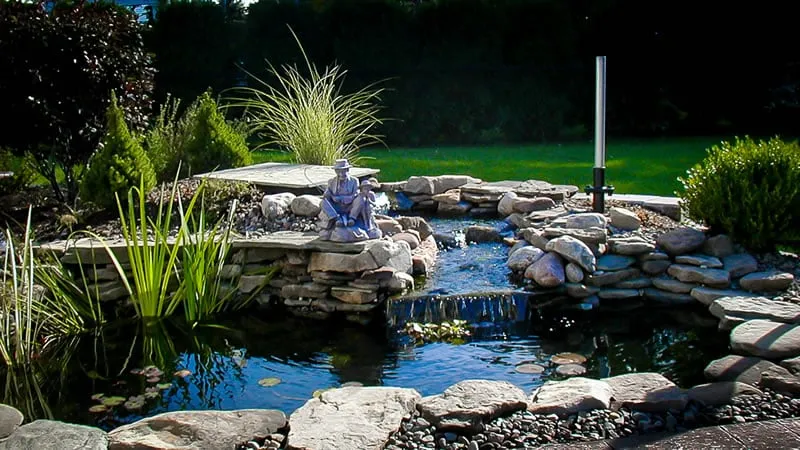 Professional landscaping services for beautiful yards in Buffalo, NY by Buffalo Lawn & Pest Services