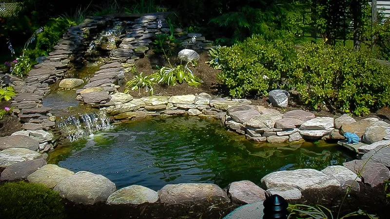 Trusted yard cleanup service for homes in Buffalo, NY by Buffalo Lawn & Pest Services